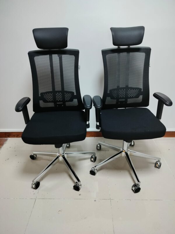 Executive High-Back Orthopedic Office Chair