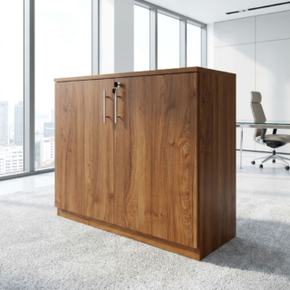 2-Door Executive Office Cabinet with internal storage shelf