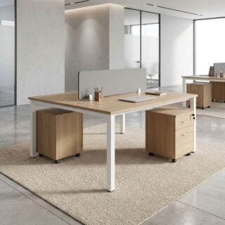 Two-Seater Staff Workstation with privacy partition